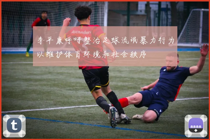李平康呼吁整治足球流氓暴力行为以维护体育环境和社会秩序