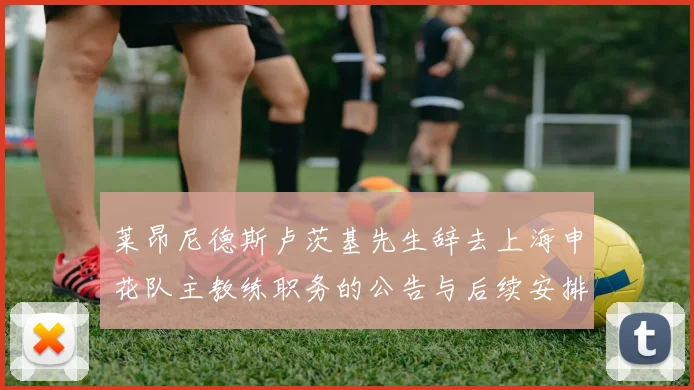 莱昂尼德斯卢茨基先生辞去上海申花队主教练职务的公告与后续安排