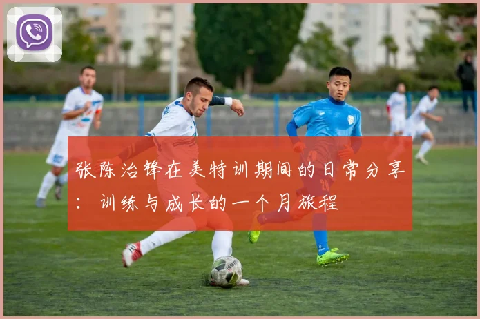 张陈治锋在美特训期间的日常分享：训练与成长的一个月旅程