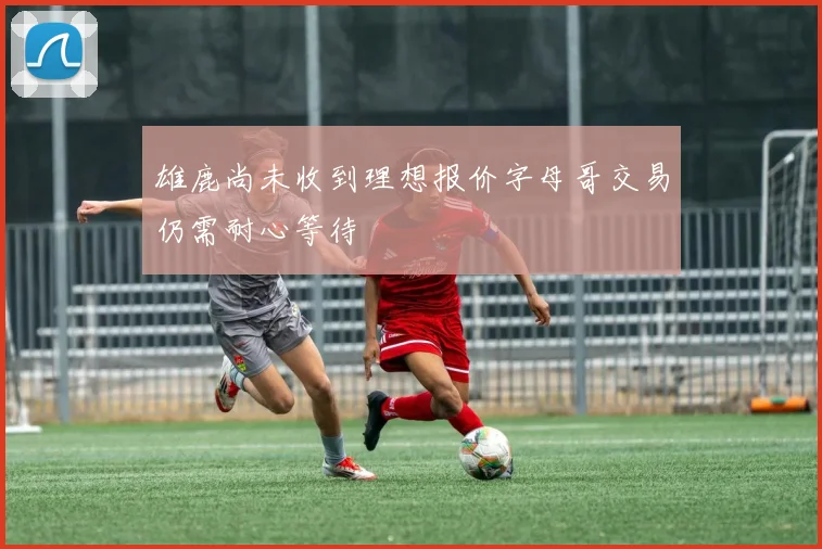 雄鹿尚未收到理想报价字母哥交易仍需耐心等待