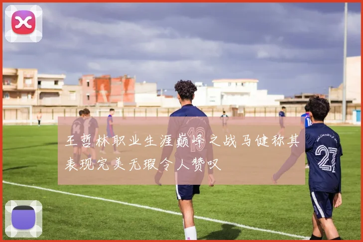 王哲林职业生涯巅峰之战马健称其表现完美无瑕令人赞叹